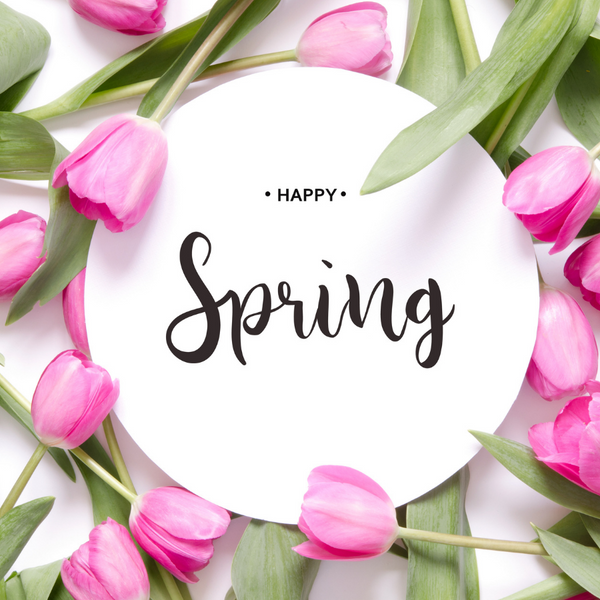 Happy Spring & New Announcements